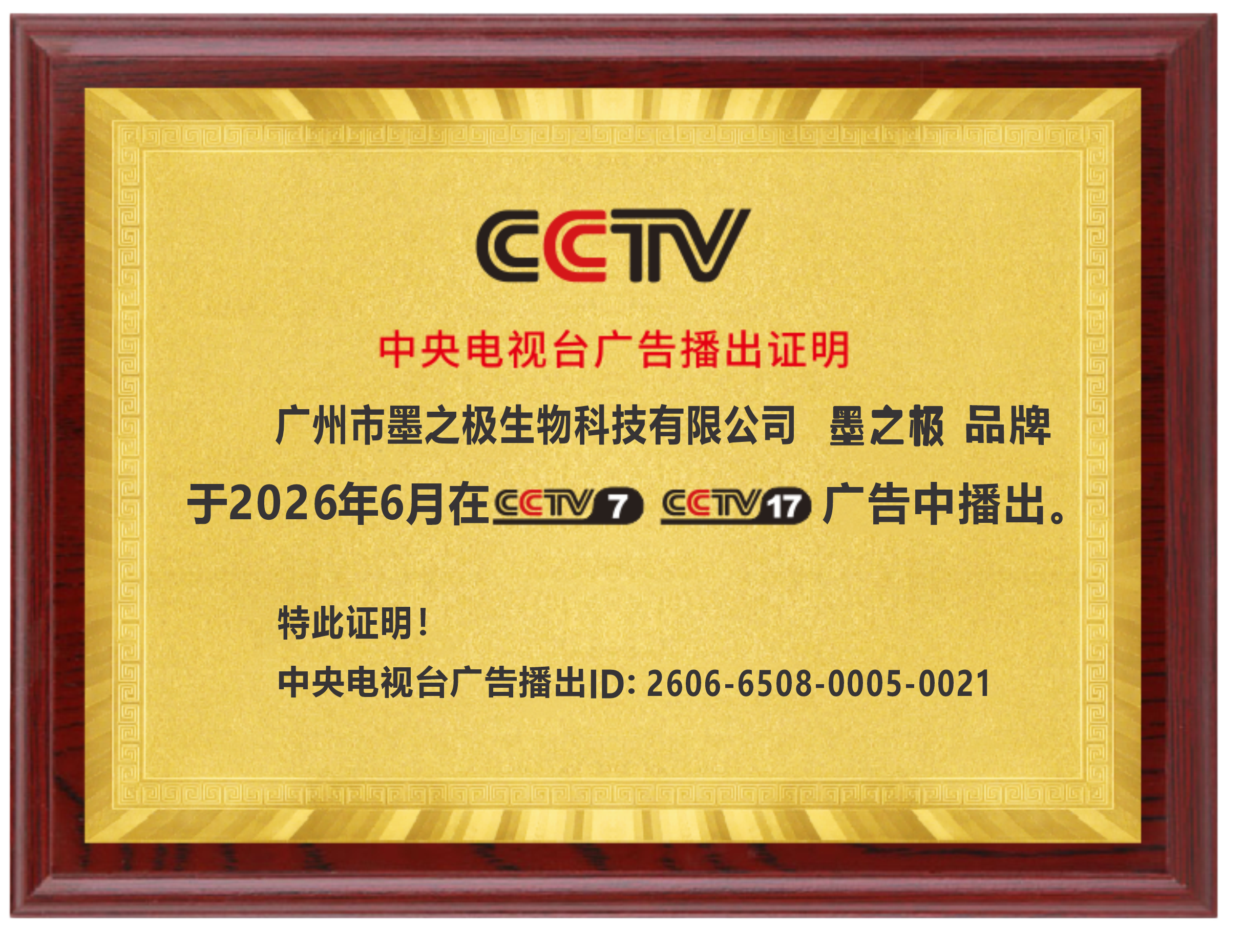 墨之极荣登央视